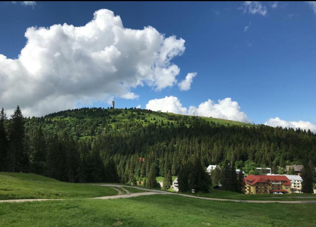 Ferienwohnung Feldberg Mit Whirlpool Direkt An Der Skipiste Ngoại thất bức ảnh